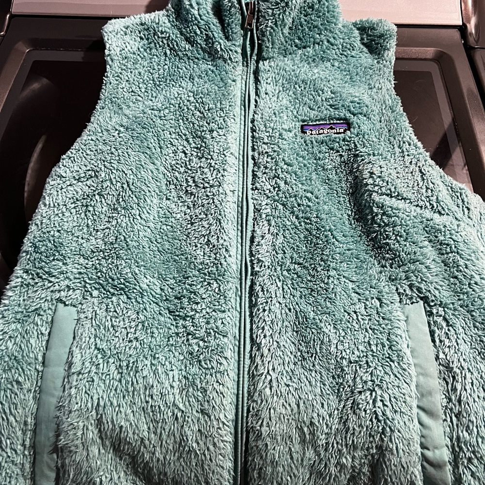 Patagonia vest
